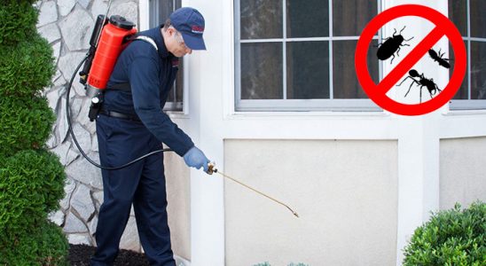 Mudurnu Dezenfeksiyon böcek ilaçlama ve haşere kontrolü — ilaclama-tr.com